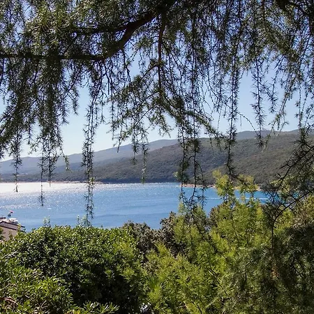 In 16914 * Rabac